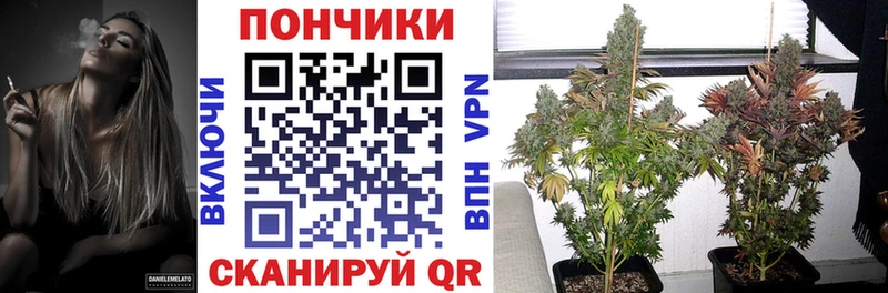 Названия наркотиков Козловка Alpha PVP  Cocaine  Меф  Бошки Шишки  Гашиш 