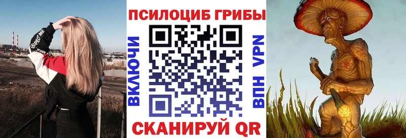 MEGA рабочий сайт  Козловка  Псилоцибиновые грибы Psilocybe 